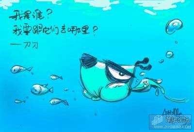 dd (27).jpg