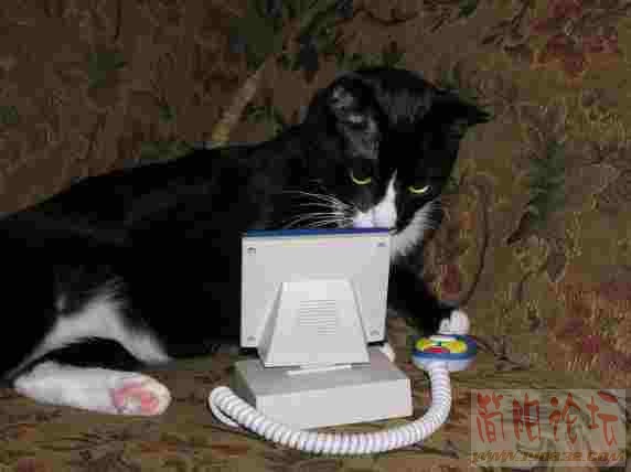 oliver%20computer.jpg