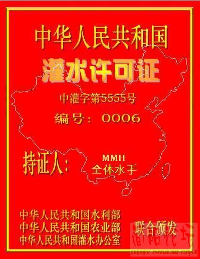 card3.jpg