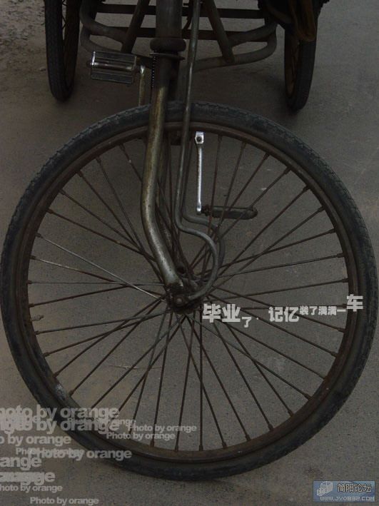 d007.jpg