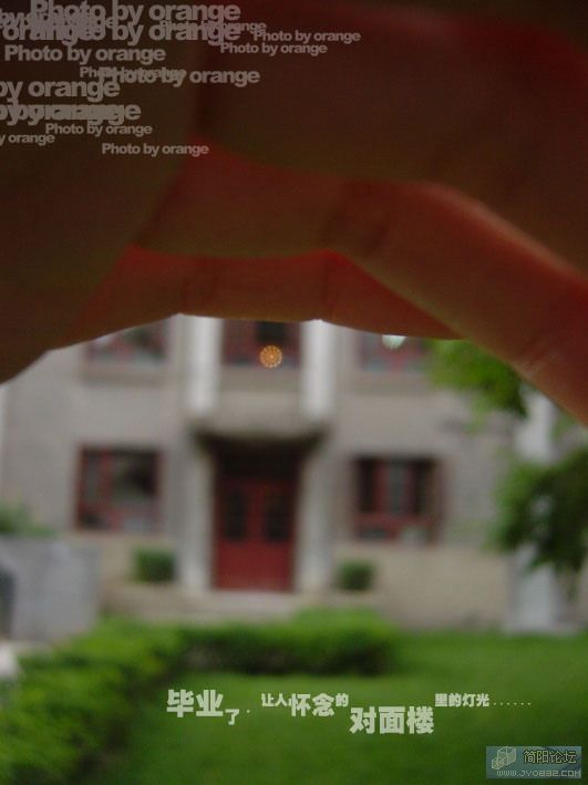 d008.jpg