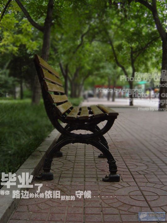 d015.jpg