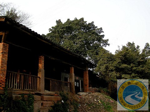 P1010407_调整大小.jpg