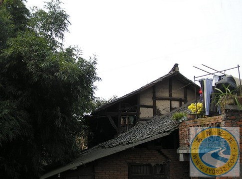 P1010394_调整大小.jpg