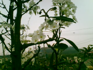 PIC_9875.jpg