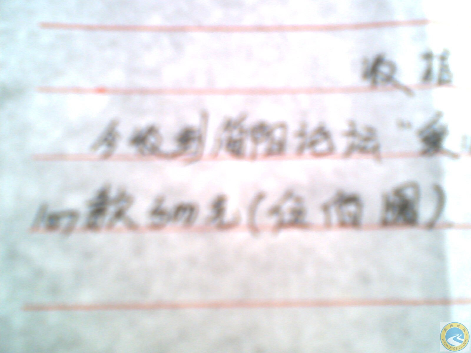 IMG0054A.jpg
