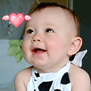 11120.gif