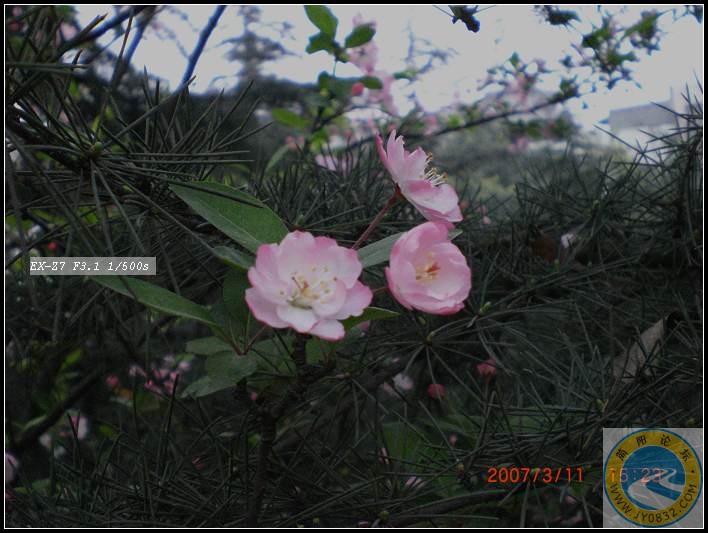 CIMG0140.jpg