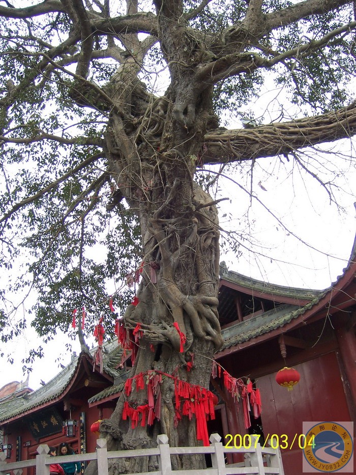 100_0730.jpg
