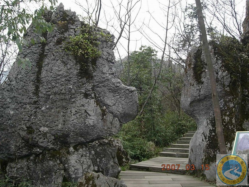DSCN6393.JPG