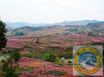 DSCN3970.jpg