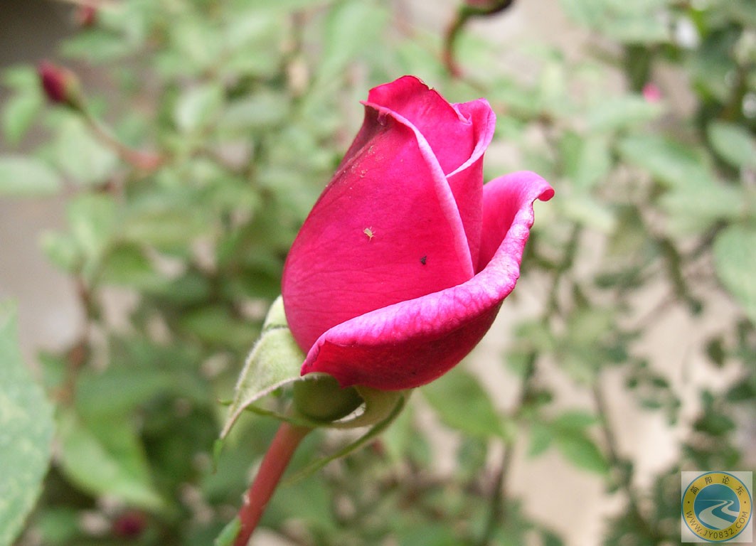 R0013515.jpg