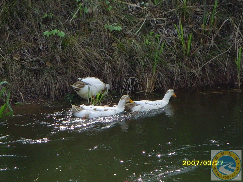 SNV34109.JPG
