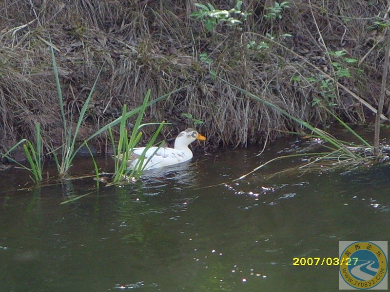 SNV34102.JPG