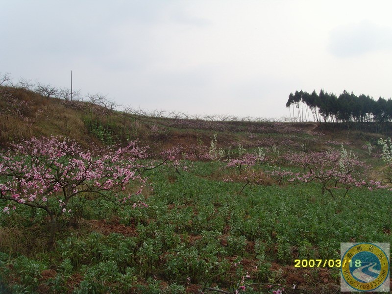 SNV33814.JPG