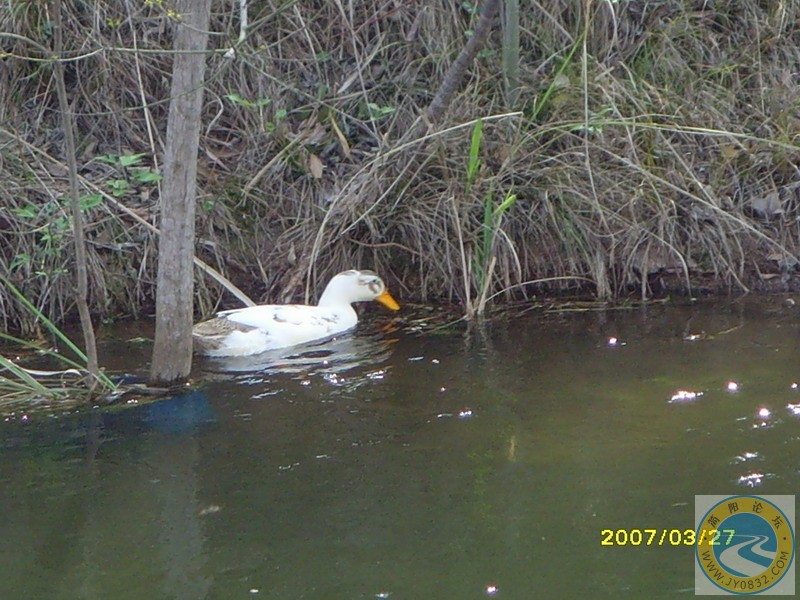 SNV34104.JPG