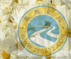 白菊花最能象征您的清高