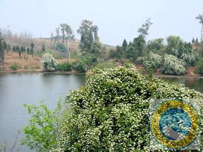 DSC03756_缩小大小.jpg