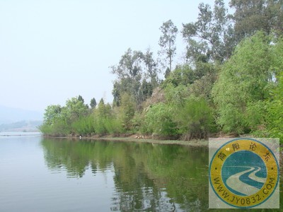 DSC03751_缩小大小.JPG