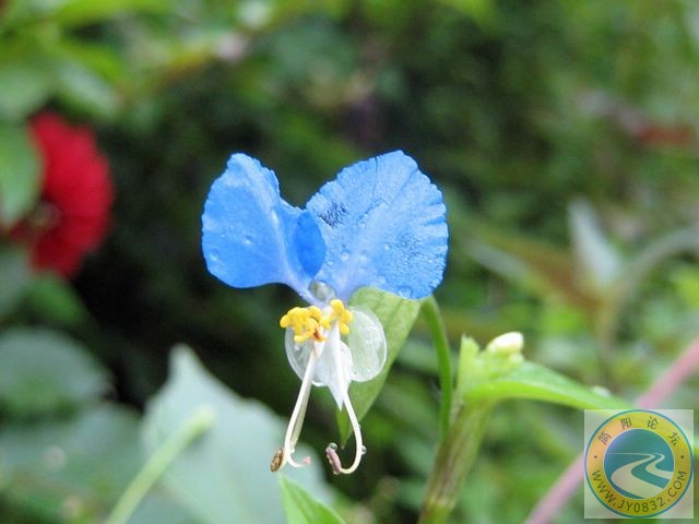 照片 028.jpg