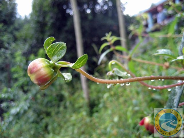 照片 025.jpg