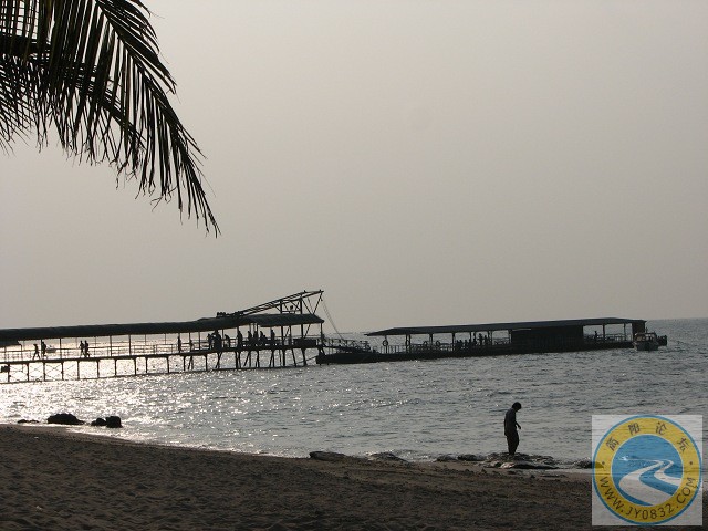 IMG_1271.jpg