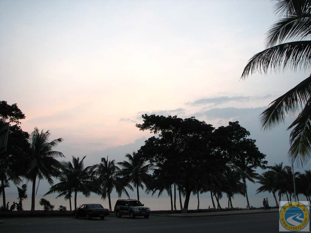 IMG_1479.jpg