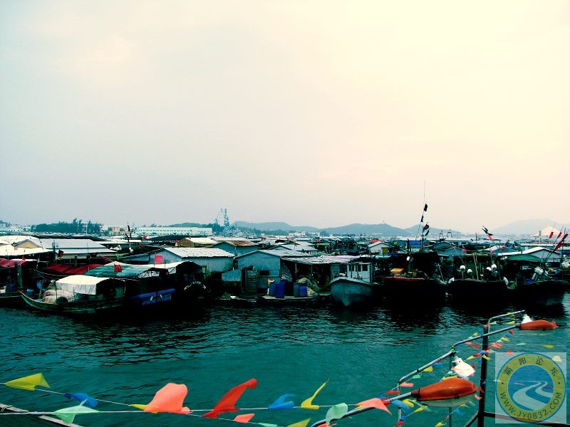 IMG2_1020.jpg