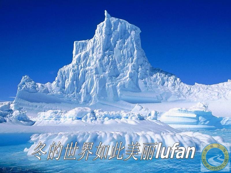冬的世界如此美丽..jpg