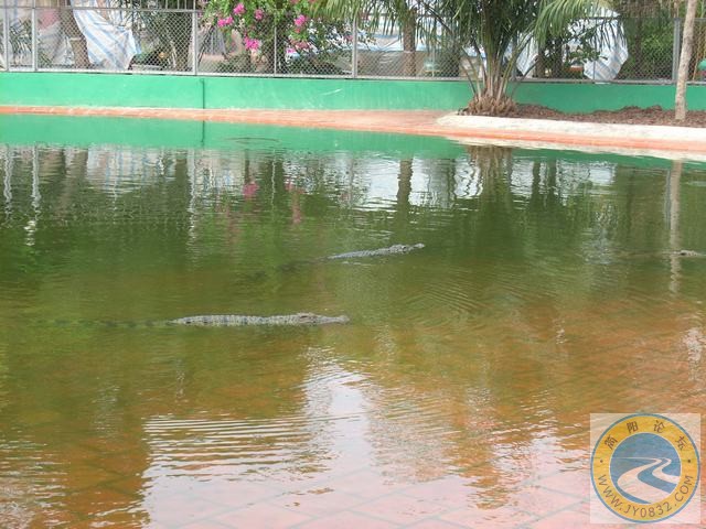 DSCN0678.JPG