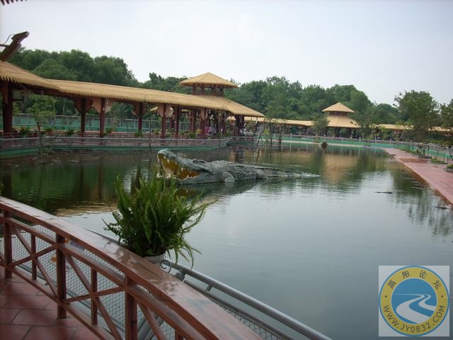 DSCN0693.JPG