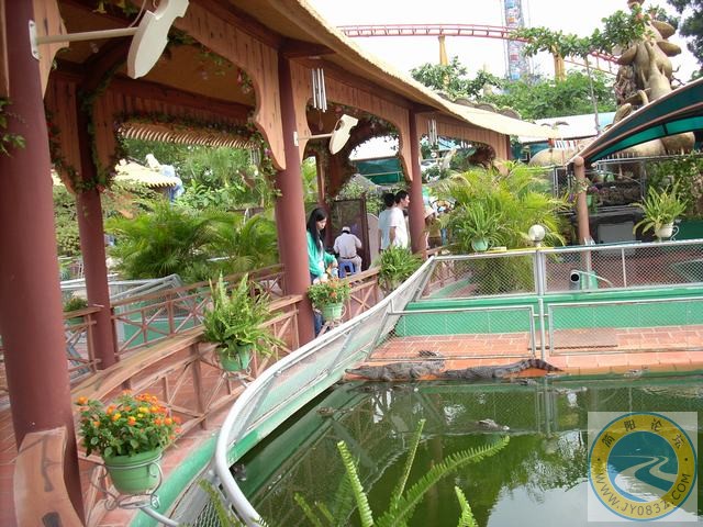 DSCN0692.JPG