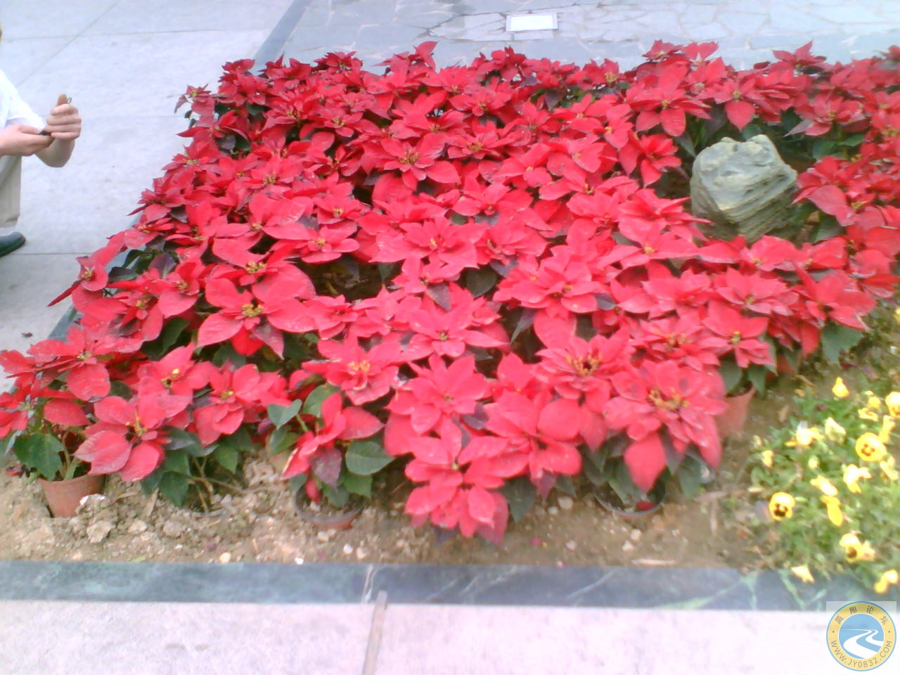PIC_0794.jpg