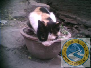 PIC_3426.jpeg
