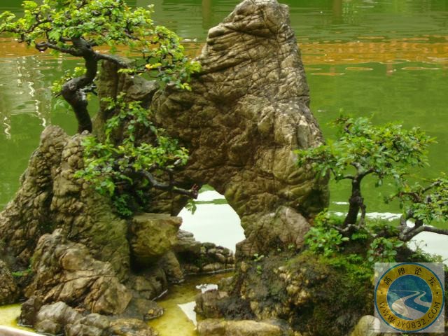 潺潺的流水，突兀的石山，叫不出名的假迎客松.別誤會這只是盆景而已哦。