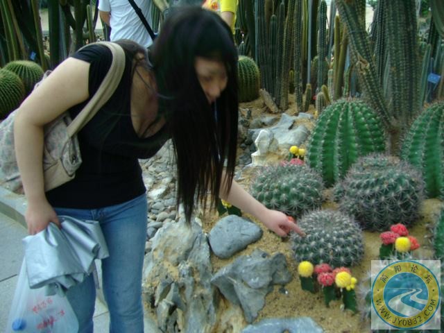 幺妹儿，路边的野花你不要采