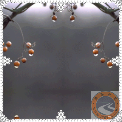 009.gif