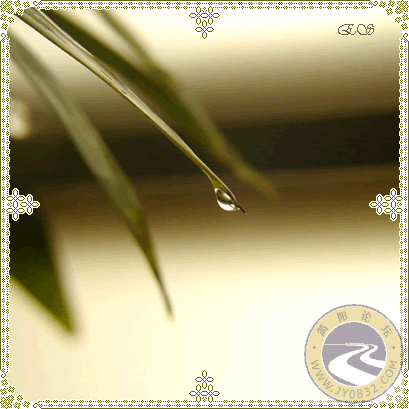 002.gif