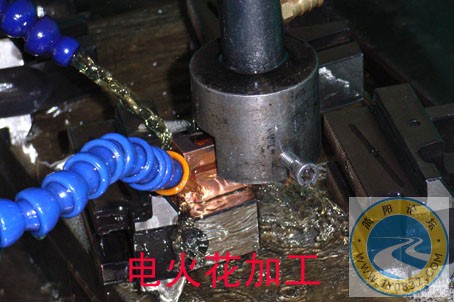 R0013894.jpg