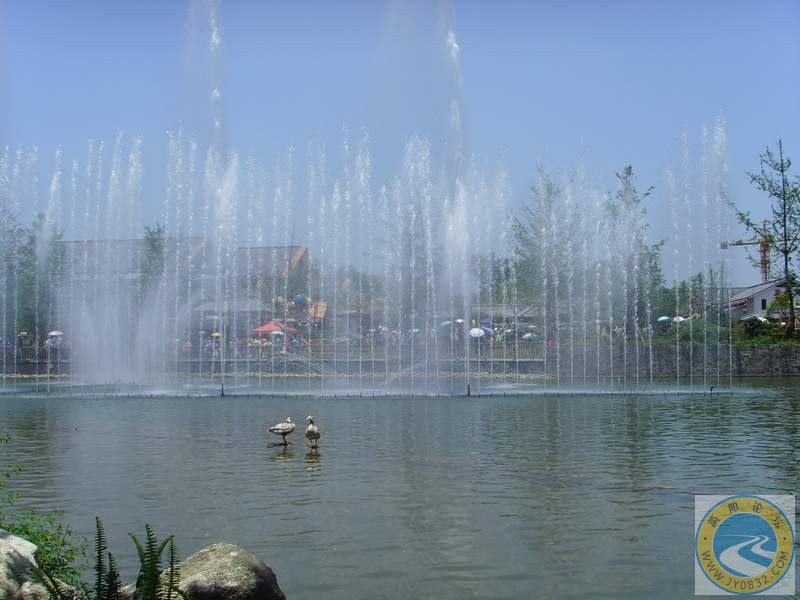 SSL20739.JPG