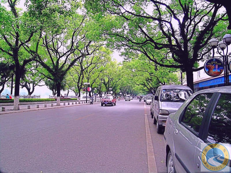 桂林市区宽阔、浓荫覆盖的花园式街道