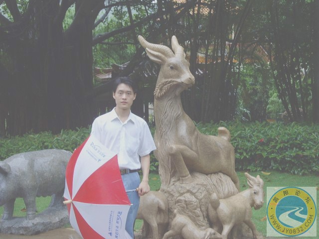 羊.2.jpg