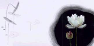 20055623494531.gif