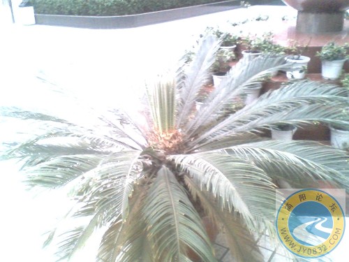 IMG0116A.jpg