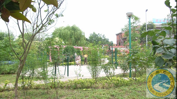 R0014237.jpg