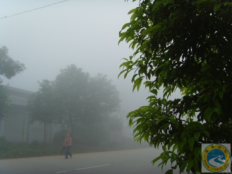 SNV35623.JPG