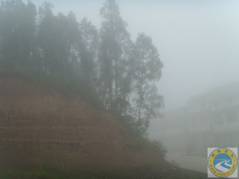 SNV35629.JPG