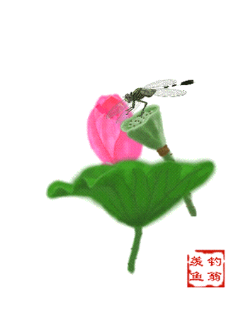xin_1203021711514371922313.gif