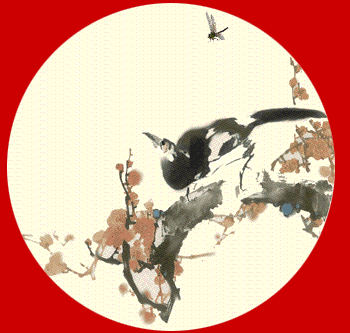 xin_1303021711512811800215.gif