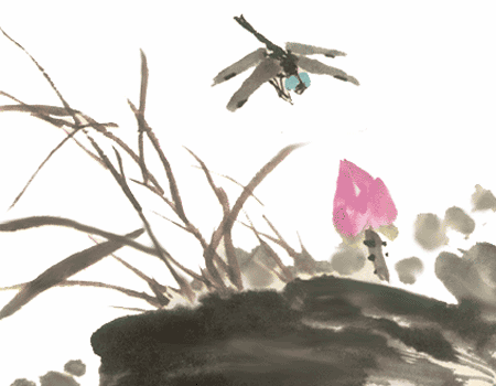 xin_1103021711511252513510.gif